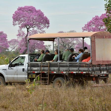 Southwild Pantanal Lodge Pixaim Luaran gambar