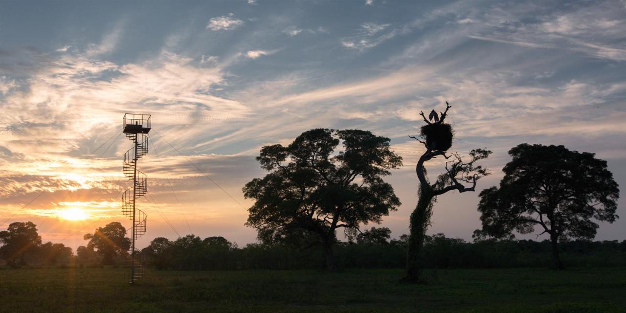 Southwild Pantanal Lodge Pixaim Luaran gambar