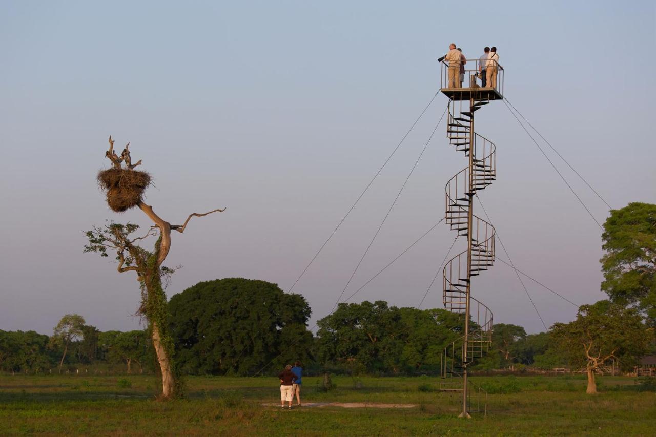 Southwild Pantanal Lodge Pixaim Luaran gambar
