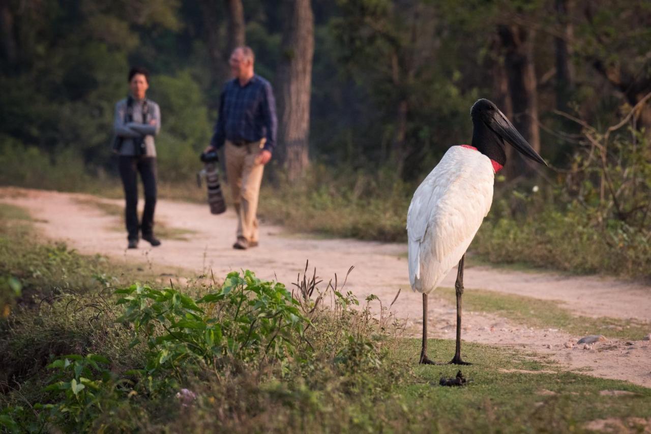 Southwild Pantanal Lodge Pixaim Luaran gambar