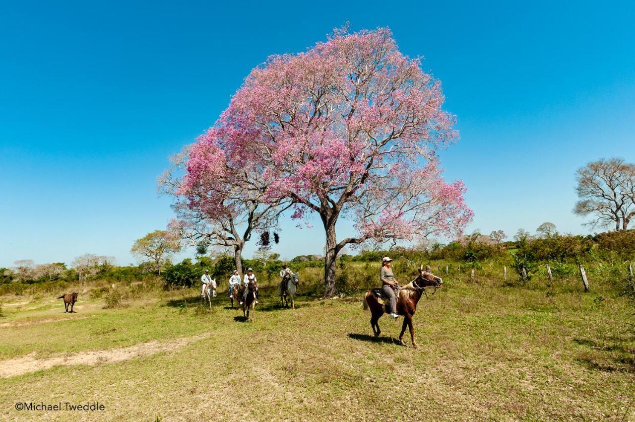Southwild Pantanal Lodge Pixaim Luaran gambar