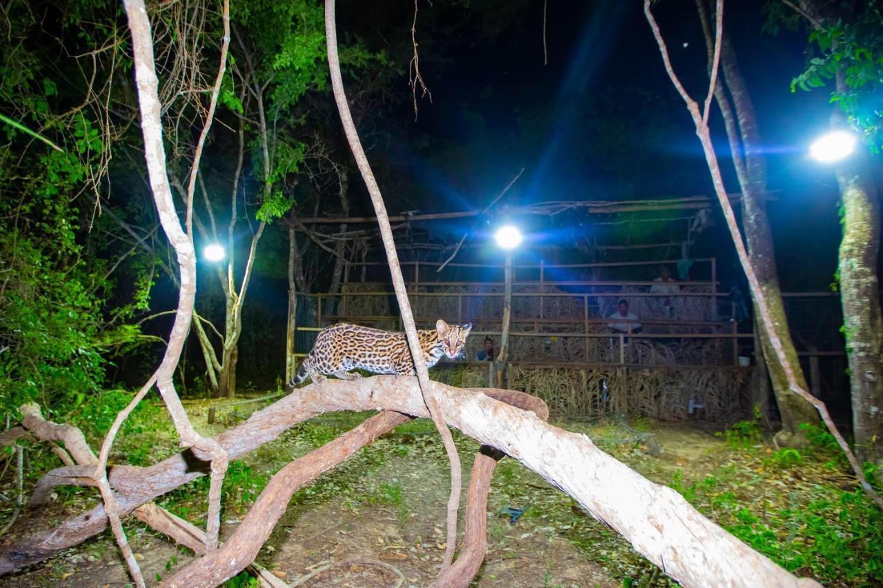 Southwild Pantanal Lodge Pixaim Luaran gambar