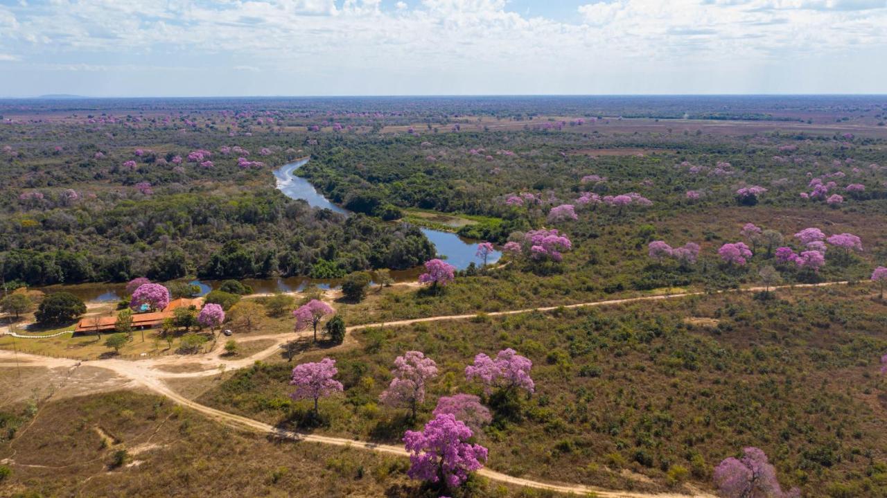 Southwild Pantanal Lodge Pixaim Luaran gambar