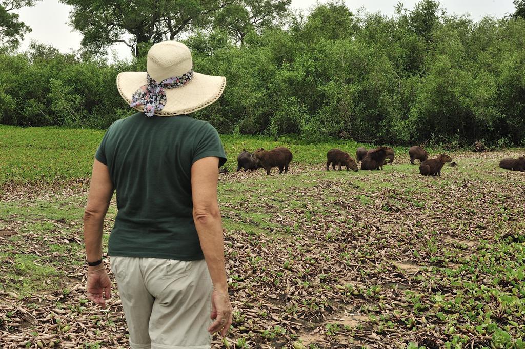 Southwild Pantanal Lodge Pixaim Luaran gambar