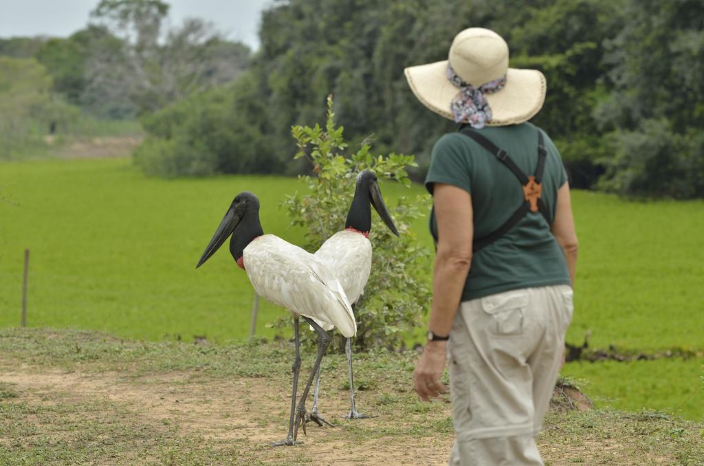 Southwild Pantanal Lodge Pixaim Luaran gambar