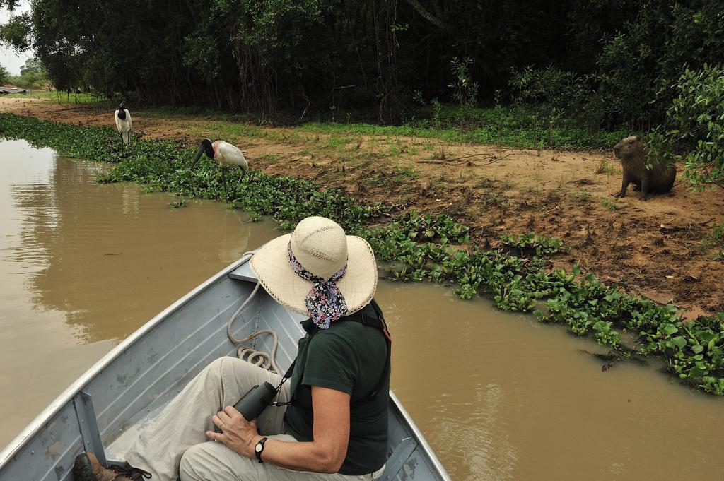 Southwild Pantanal Lodge Pixaim Luaran gambar