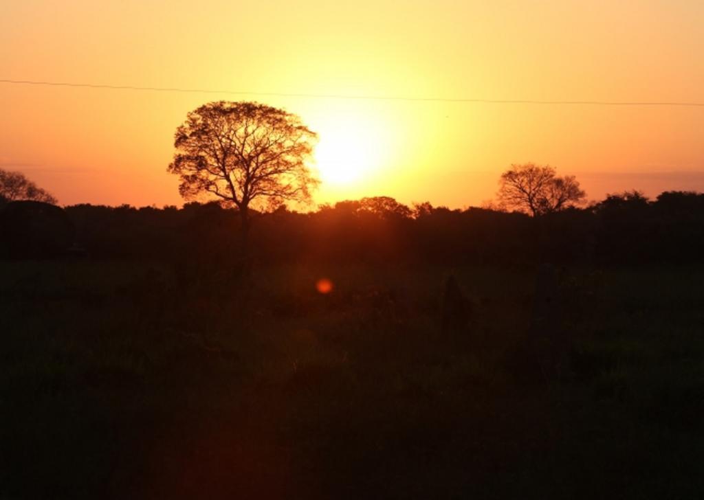 Southwild Pantanal Lodge Pixaim Luaran gambar