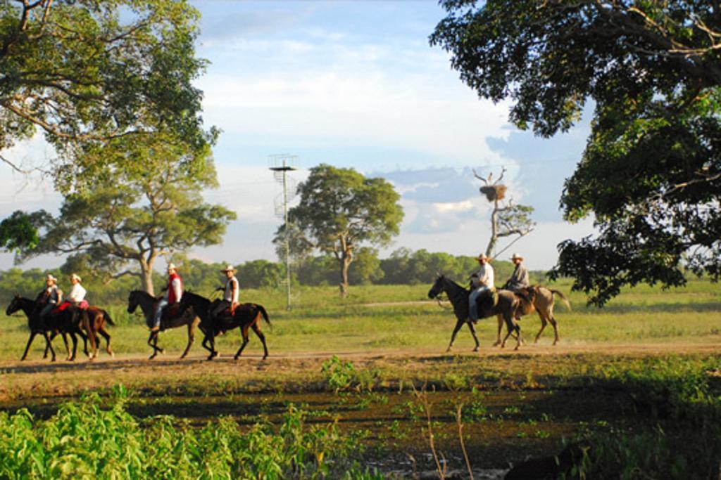 Southwild Pantanal Lodge Pixaim Luaran gambar