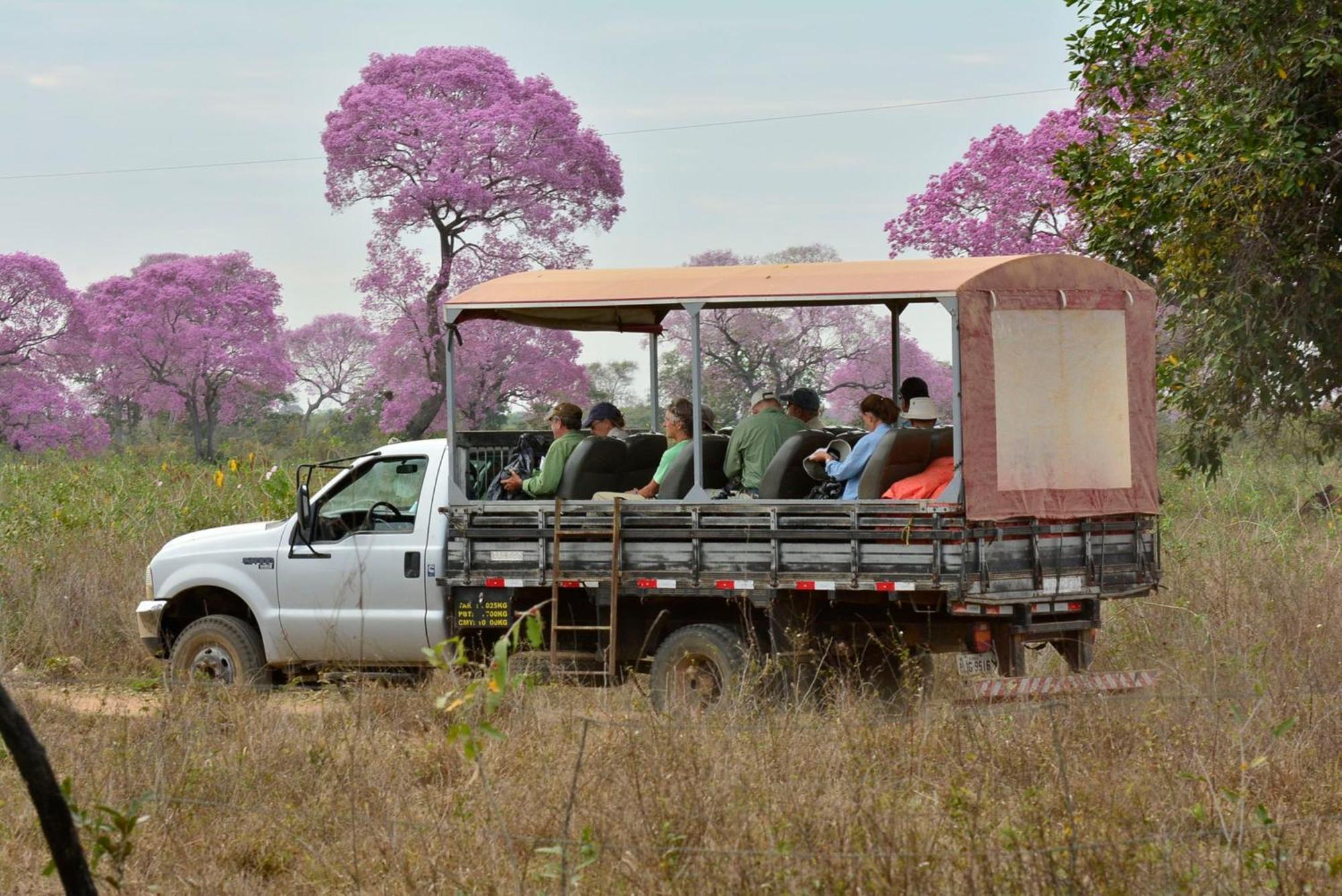 Southwild Pantanal Lodge Pixaim Luaran gambar