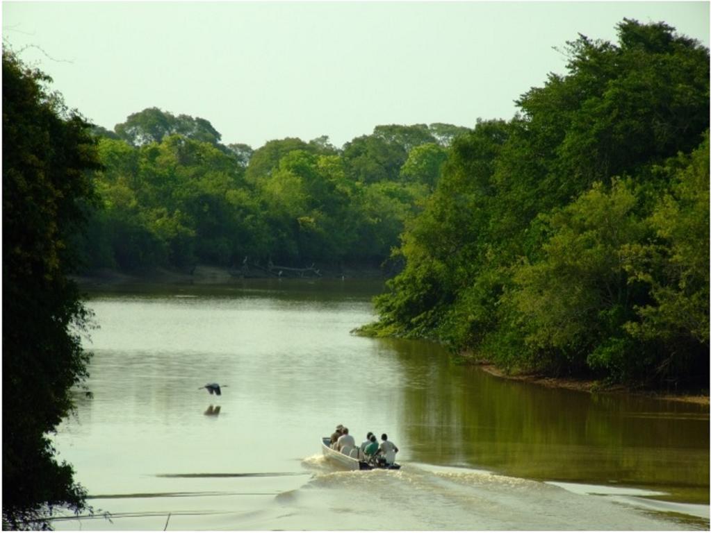 Southwild Pantanal Lodge Pixaim Luaran gambar